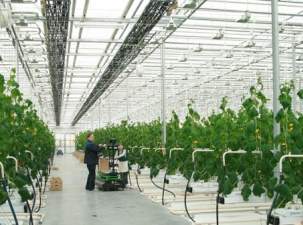 «ФСК ЕЭС» расширит томскую подстанцию 220 кВ «Зональная»