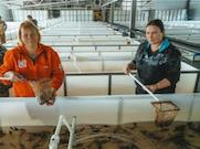Пермские нефтяники выпустили в Каму 85 тысяч мальков стерляди