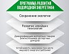Правительство РФ утвердило план по развитию водородной энергетики