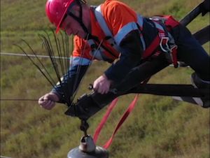 «Россети Северо-Запад» смонтировали 1100 птицезащитных устройств в Вологодской области
