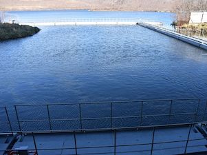 «Камчатскэнерго» оснастило ТЭЦ-2 новым рыбозащитным устройством