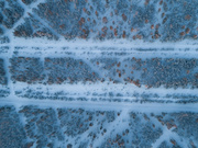 ЯТЭК выиграла аукционы на два перспективных участка недр в Якутии