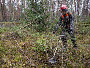 «Ленэнерго» привело в нормативное состояние более 200 га просек ЛЭП