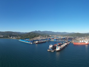 По данным мониторинга вода и воздух в границах «Восточного Порта» соответствуют нормативам