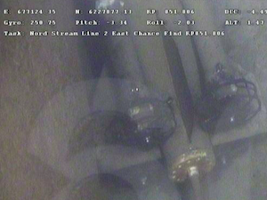 Охота на лис