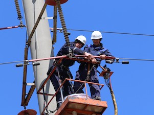 «Амурские электросети» устанавливают на ЛЭП птицезащитные устройства