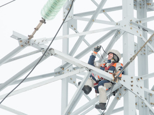 «Ленэнерго» обновило более четырех тысяч километров ЛЭП