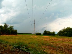 Свыше 1 160 га расчистили энергетики «Самарских РС» в рамках подготовки к зиме