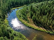 К экологической акции «Вода России» в 2022 году присоединились 15 тысяч сотрудников «Роснефти»