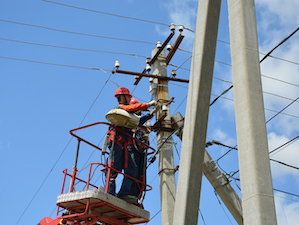 «Россети Юг» подключили к электросетям крупный лесной питомник в Ленинском районе Волгоградской области