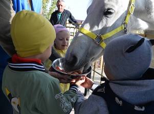 «Добрая лошадка» помогает детям из Волгодонска пройти курс иппотерапии