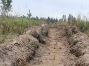 «Россети» восстанавливают лес на территории Одинцовского городского округа Московской области