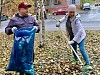 Кольская АЭС организовала экологические субботники в Полярных Зорях