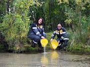 «Самотлорнефтегаз» выпустил в Иртыш более 2 млн мальков ценных видов рыбы