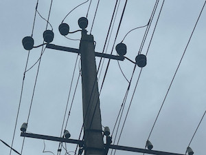 «Славянские электрические сети» консолидировали энергообъекты СНТ в Краснодаре