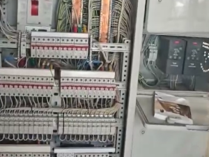 Ущерб от нелегальной майнинг-фермы в Ленобласти оценивается в миллиард рублей