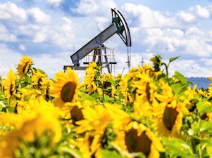 «Татнефть» зарегистрировала в реестре углеродных единиц 40 климатических проектов