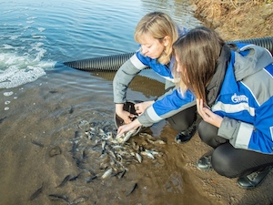 «Газпром добыча Оренбург» выпустил в реку Урал более 38 тысяч мальков толстолобика