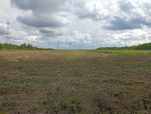 МЭС Урала расчистили 1 540 гектаров просек магистральных ЛЭП в ХМАО-Югре