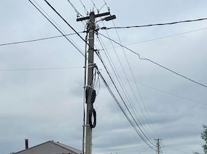 «Россети Московский регион» выявили свыше 190 тысяч нелегально размещенных линий связи на ЛЭП