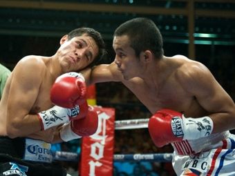 Боксер стал 