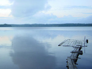 2 тонны трансформаторного масла украдено с подстанции «Карелэнерго»