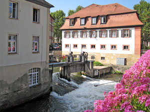 «Сухой подвал» стал собственностью