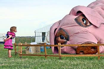 Нам не страшен грипп свиной?