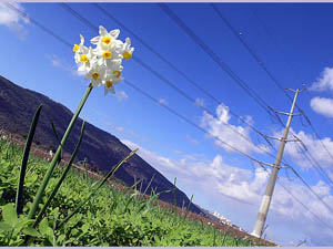 «Свердловэнергосбыт» отстаивает свои интересы в суде