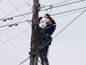 «Ленэнерго» ликвидирует последствия снегопада
