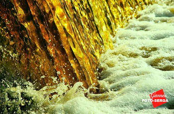 Бассейн пива!