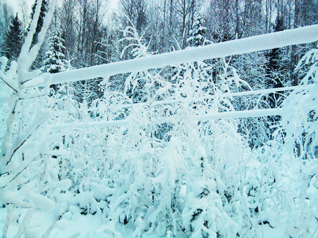 «Архэнерго» восстанавливает электроснабжение деревни Бычье
