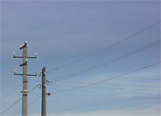 «Черные» лесорубы испортили ЛЭП и выходной