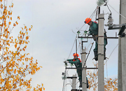 TATNEFT has completed scheduled clearance of power line routes