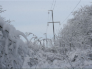 54 оперативно-ремонтных бригады «Смоленскэнерго» устраняют последствия снегопада