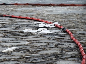 Гринпис: лоббисты нефтегазовых компаний пытаются обеспечить экологический демпинг для супердорогих шельфовых проектов