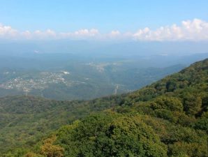 В Лазаревском районе Сочи пришлось отключить ЛЭП для безопасного тушения пожара