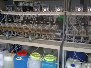 «Далур» запустил пилотную установку по извлечению скандия из продуктивных растворов и последующего рафинирования концентрата