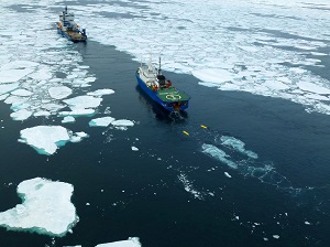 «Роснефть» перевыполнила требования лицензионных обязательств на шельфе