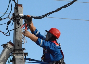 «Нижновэнерго» присоединяет к электросетям второй свиноводческий комплекс в Нижегородской области