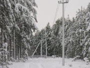 Снежный циклон накрыл северо-восточные районы Новгородской области