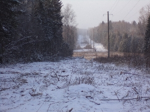 «Владимирэнерго» с начала года отремонтировало свыше 2 600 км воздушных линий