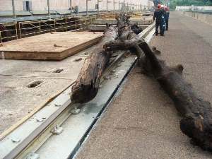 300 кубометров топляка из Чебоксарского водохранилища отправили в переработку