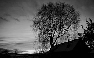 Неизвестные расстреляли изоляторы ЛЭП 35 кВ «Хрустальная-Северка» в Свердловской области