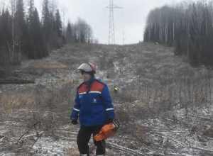 «Кузбассэнерго – РЭС» расширяет просеки ЛЭП в Горном Алтае