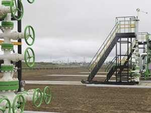 Компания «Русвьетпетро» добыла 22 млн тонн нефти на Центрально-Хорейверском поднятии