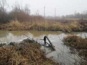 «Псковэнерго» восстановило подачу электроэнергии на Псковский подземный водозабор от резервных источников