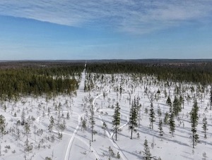 «Газпромнефть-Ноябрьскнефтегаз» расширит программу восстановления лесов