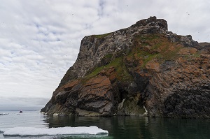 «Роснефть» и национальный парк «Русская Арктика» начинают экологический проект по восстановлению арктических экосистем