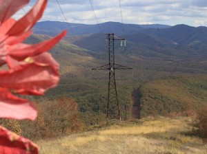 На юго-западе Краснодарского края расчищено 44 га трасс ЛЭП